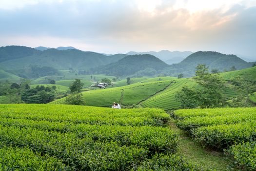 黑茶山丘陵景观