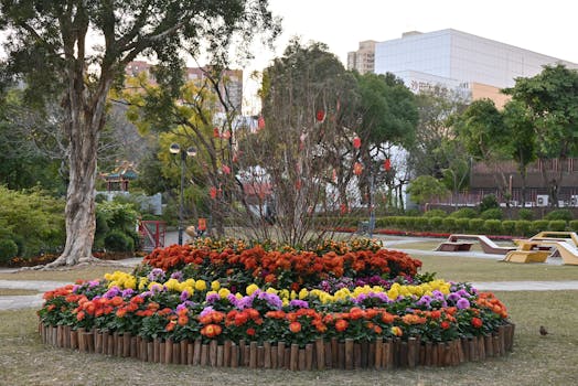 月坛公园圆形花坛