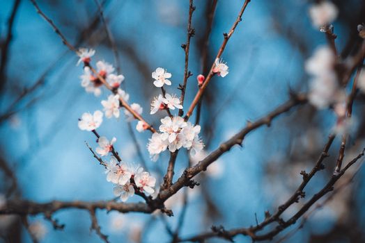 昆玉市杏花沟实景图片