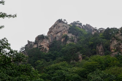 花山岩画实景图片
