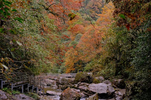 井儿沟