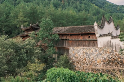 老木棉景区实景图片