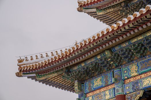 中华艺术宫实景图片