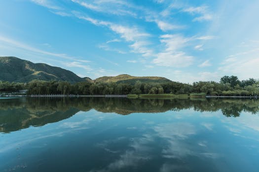 衡水湖旅游景区实景图片