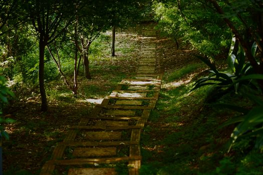 青县觉道庄景区