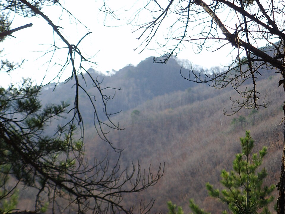 五峰山大桥公园实景图片