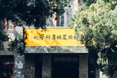 兵团第十四师文化中心实景图片