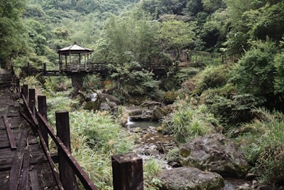 交城山国家森林公园实景图片