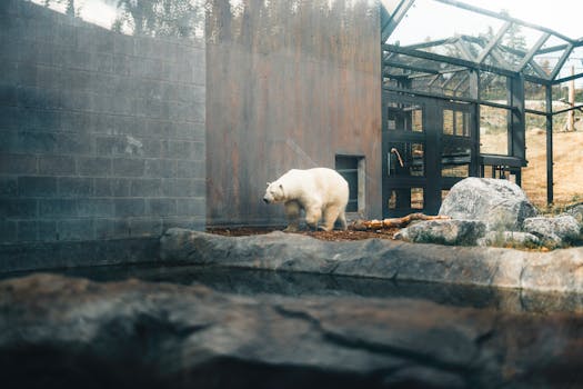哈尔滨北方森林动物园实景图片