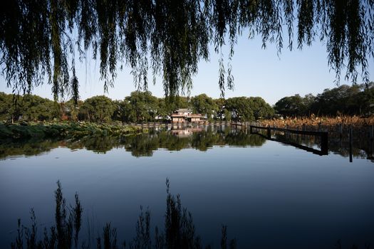 柳巷实景图片
