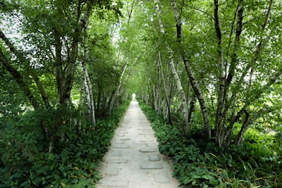 辽阳碑林步道