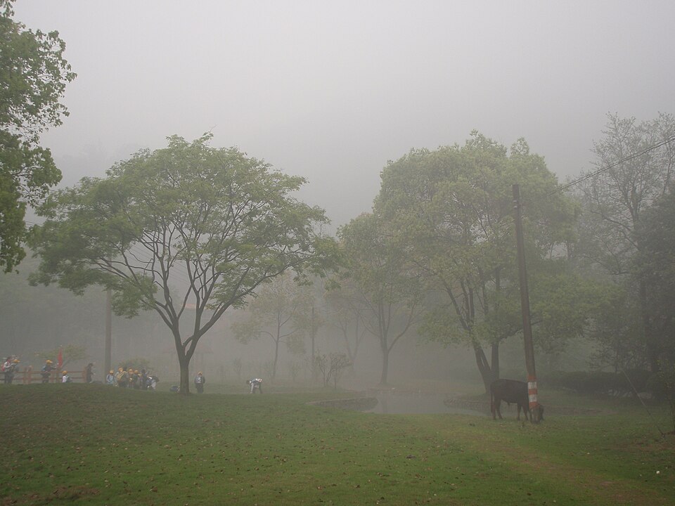 仙岩景区雾景