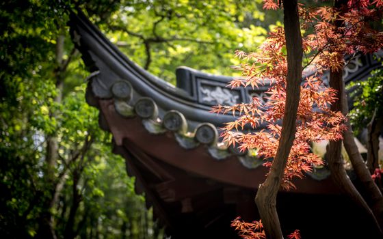 固安枫林庄园实景-传统建筑与花园
