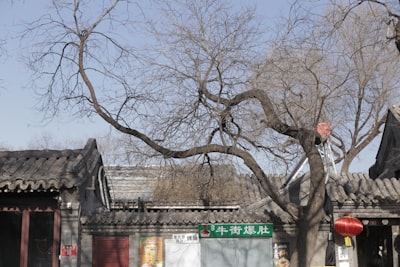 萧红故居实景图片
