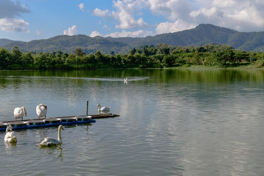 清泉湖实景图片