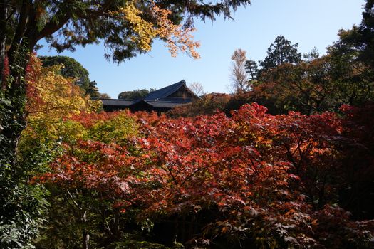 寺庙建筑实景图