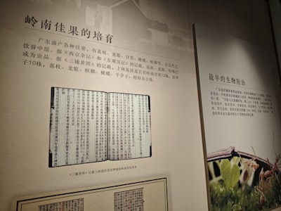 铁门关市农垦博物馆馆藏展品
