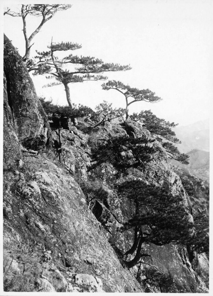 五老峰实景图片