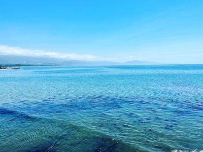 可克达拉市伊河花海实景图片