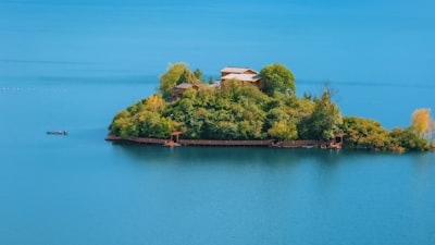 衡水湖梅花岛实景图片