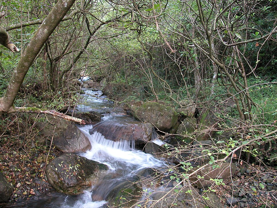 枫树湾小溪
