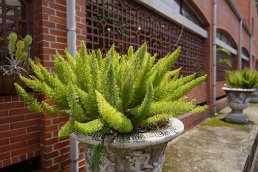 北屯市植物园