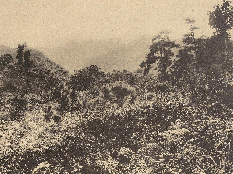 会稽山香炉峰实景图片