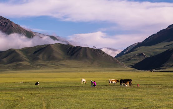 卧牛山实景图片