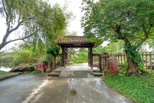 顾村公园实景图片