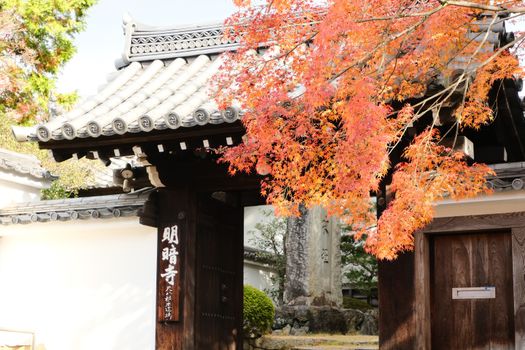 玄中寺实景图片