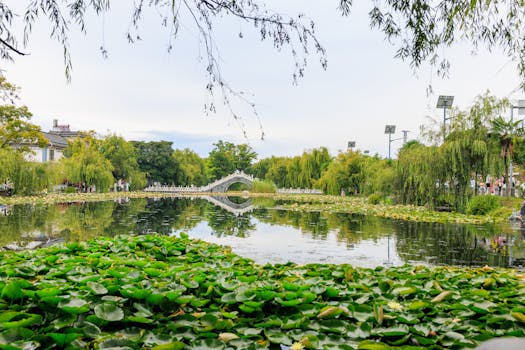 阳泉植物园