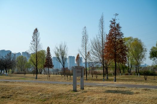 奎屯市锦绣园风景区实景图片