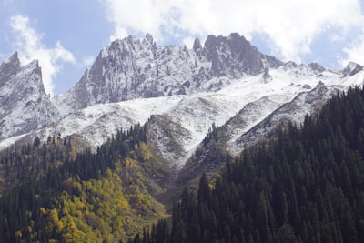 苏密枫雪谷实景图片