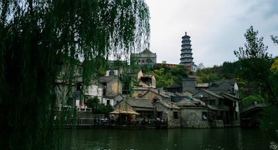 左江岸建筑与水景实景