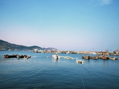 伊犁河渔村船只