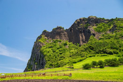 海兴县小山火山地质公园实景图片