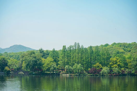 清泉湖实景图片