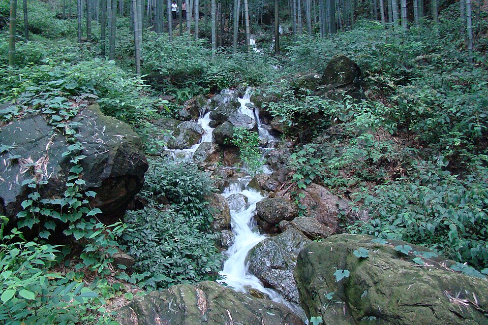 宜兴竹海竹林山水实景