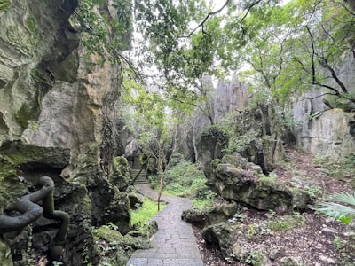 石洞沟森林公园实景图片