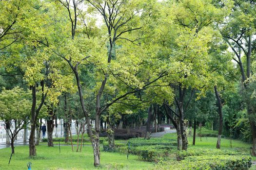 大禹渡景区初秋步道