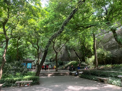 石洞沟森林公园实景图片