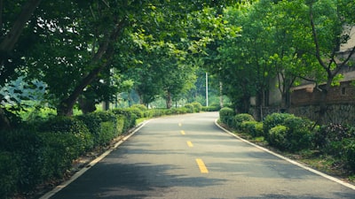 南滨路实景图片