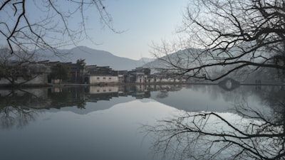 左江沿岸建筑与树木实景