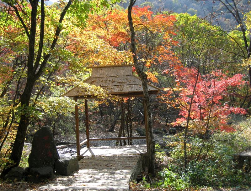关门山国家森林公园实景图片