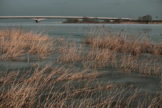 天津七里海湿地实景图片