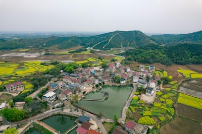 温泉县香紫苏基地周边黄色花田航拍