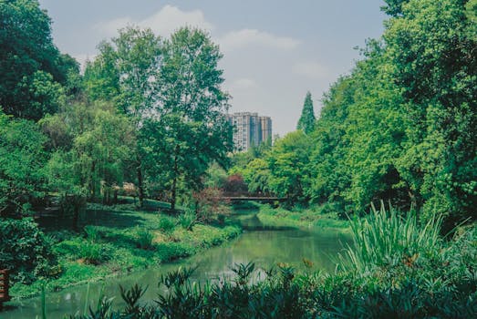 汉王公园实景图片