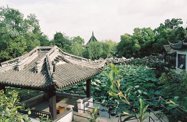 蠡园夏日园林全景