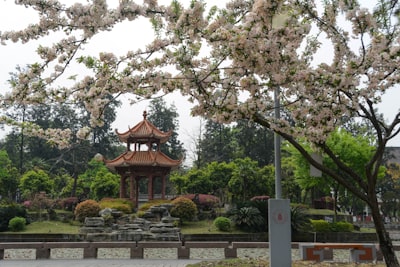 廊坊市瑞丰公园实景图片