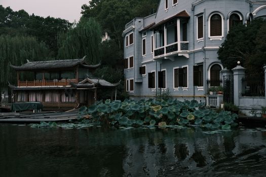 衡水湖荷花岛实景图片